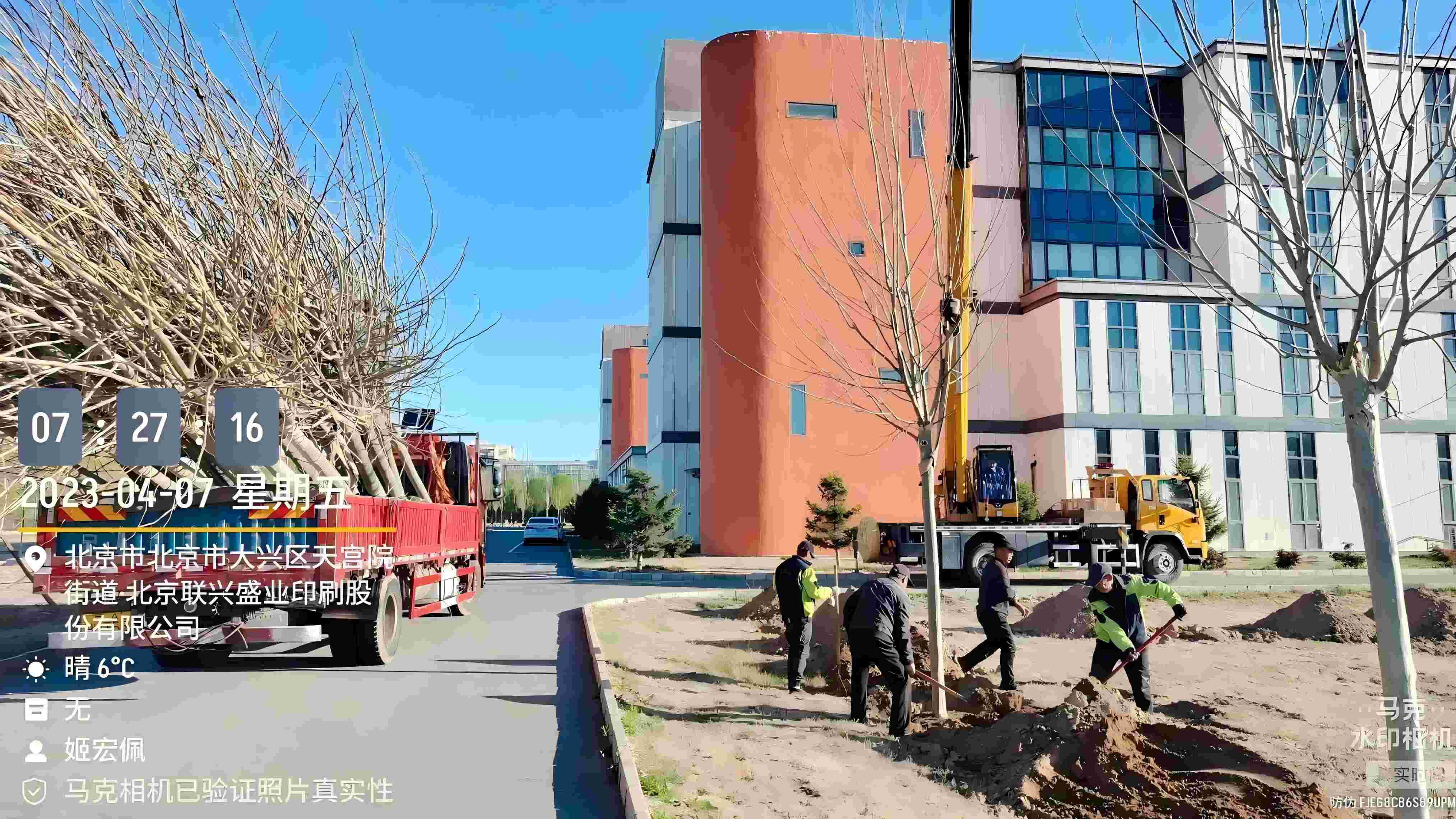 北京春季植樹最好的時間是什么時候？