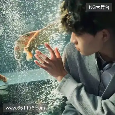 赖晨舒